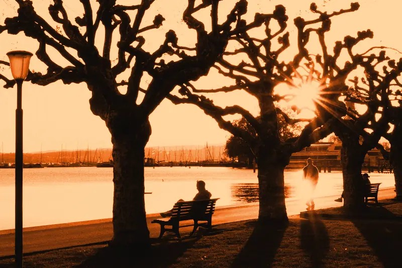 Quai arboré au bord d'un lac suisse au coucher du soleil, promeneurs et bancs à l'ombre des platanes